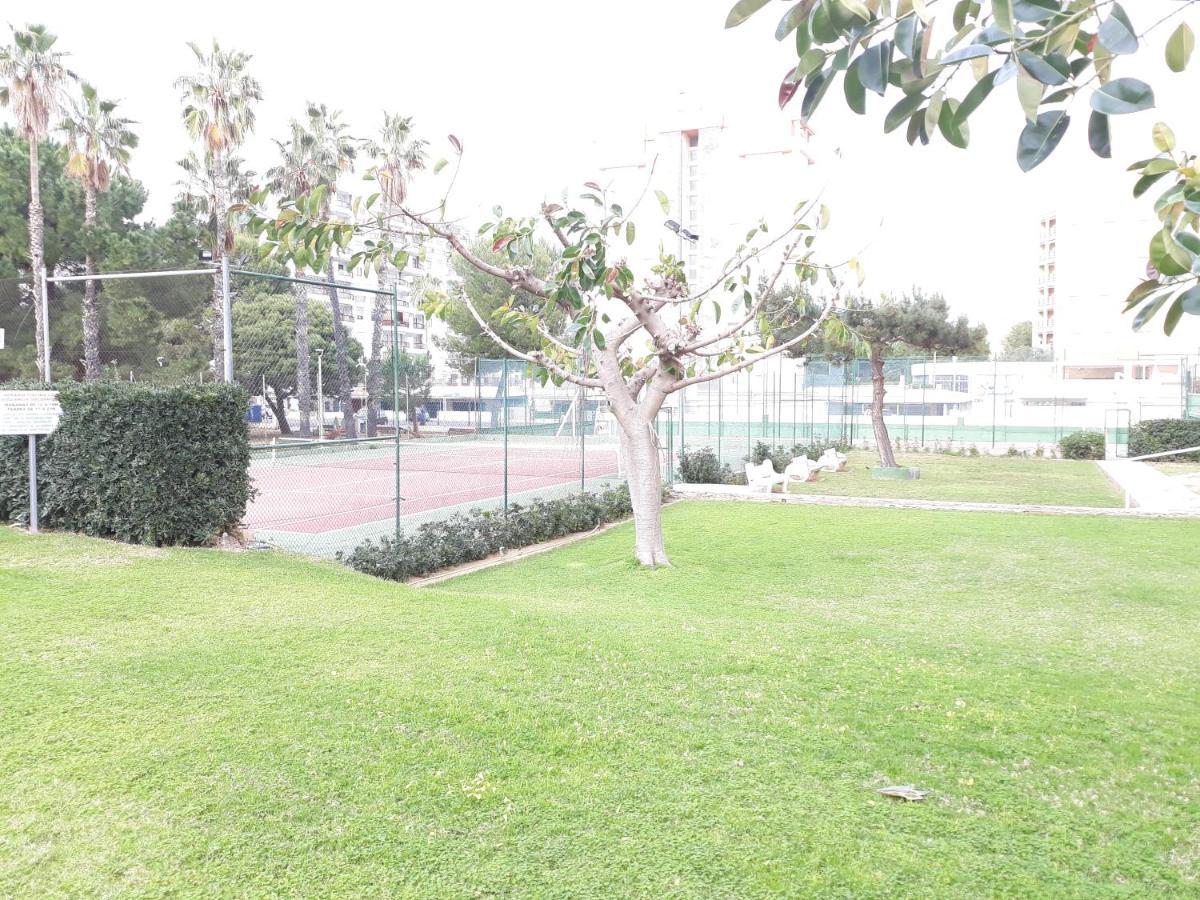 Valldigna 7 Playa De Gandia Solo Familias Екстериор снимка